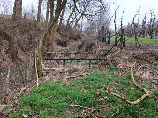 Photo du jardin 3